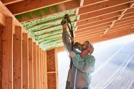 Eco-Friendly or Green Insulation Solutions in Enterprise, NV